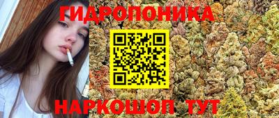 не бодяженный Малгобек
