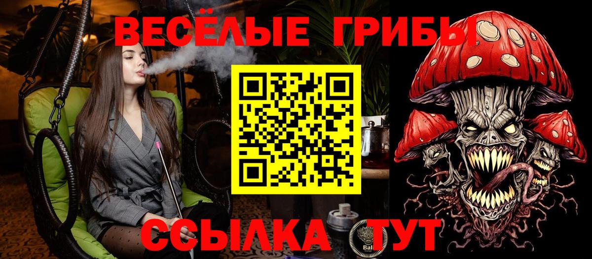 Псилоцибиновые грибы Magic Shrooms Тула