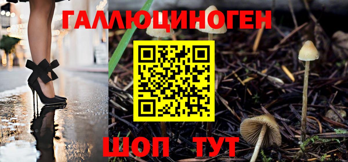 Тула  Псилоцибиновые грибы ЛСД  как найти закладки  Псилоцибиновые грибы ЛСД  Вход с VPN 